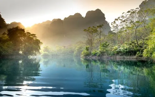 高效智能全自动